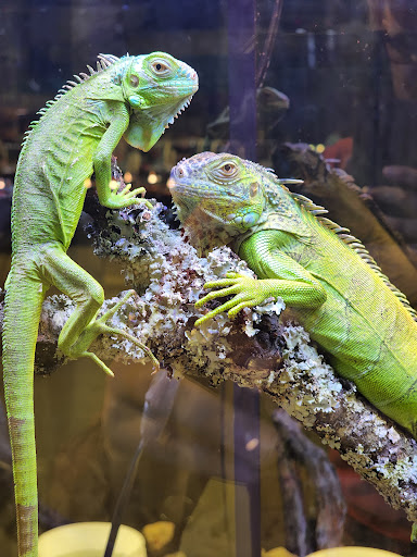 Civic Center «Florence Civic Center», reviews and photos, 3300 W Radio Dr, Florence, SC 29501, USA