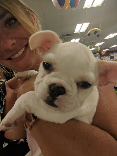 Pet Store «Petland Lewis Center», reviews and photos, 86 Meadow Park Ave, Lewis Center, OH 43035, USA