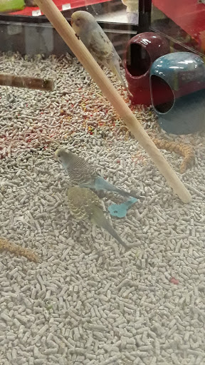 Pet Supply Store «Petco Animal Supplies», reviews and photos, 6280 S Westnedge Ave, Portage, MI 49002, USA