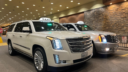 Lake Taxi image