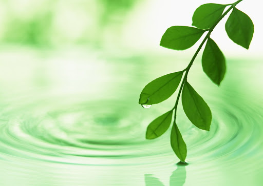 Green Net Professional Services en Barcelona, Barcelona