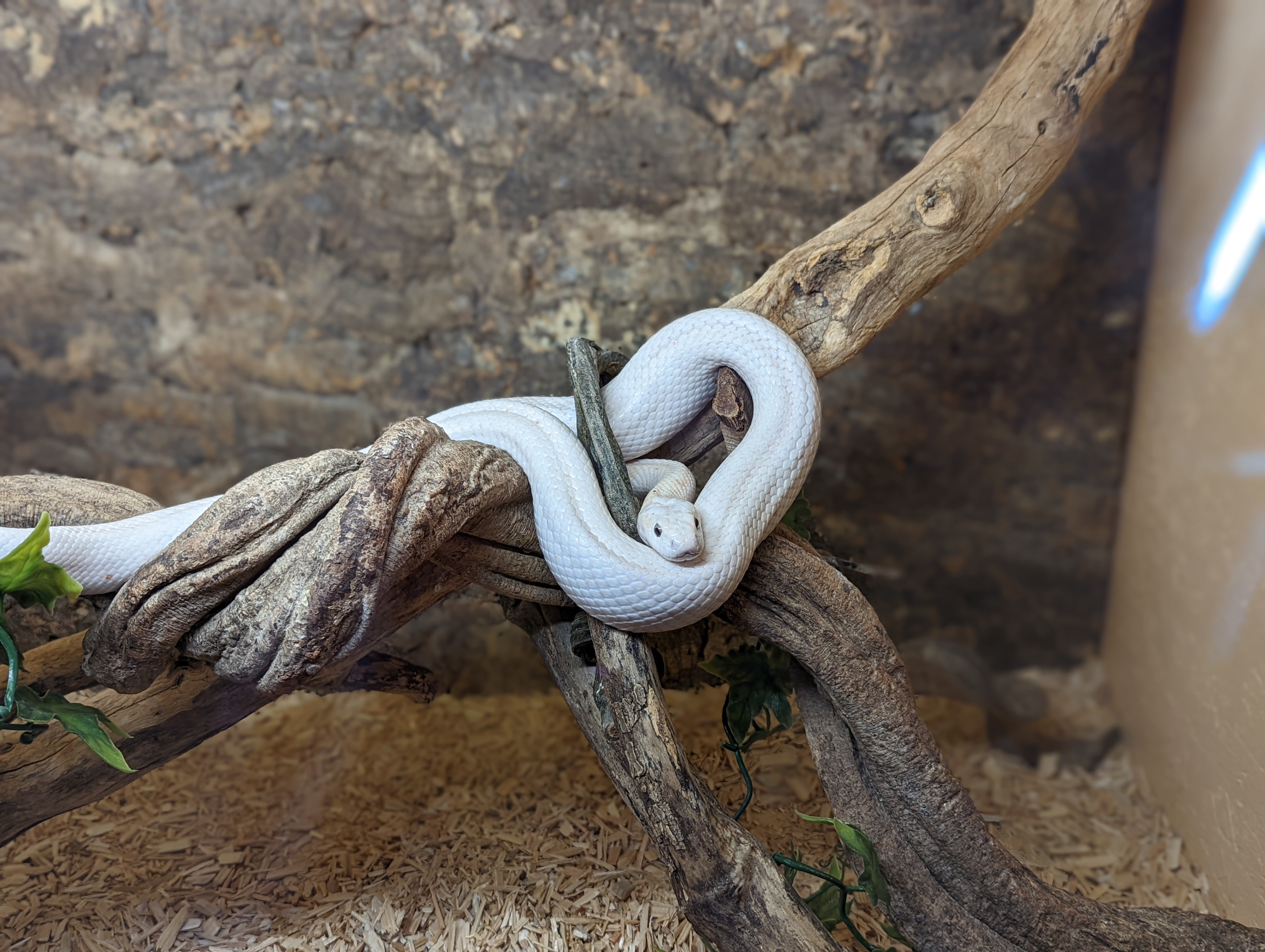 Photo n° 31 de l'avis de Mathieu.I fait le 07/05/2022 à 19:56