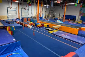 G-Force Gymnastics Class & Camp Center image