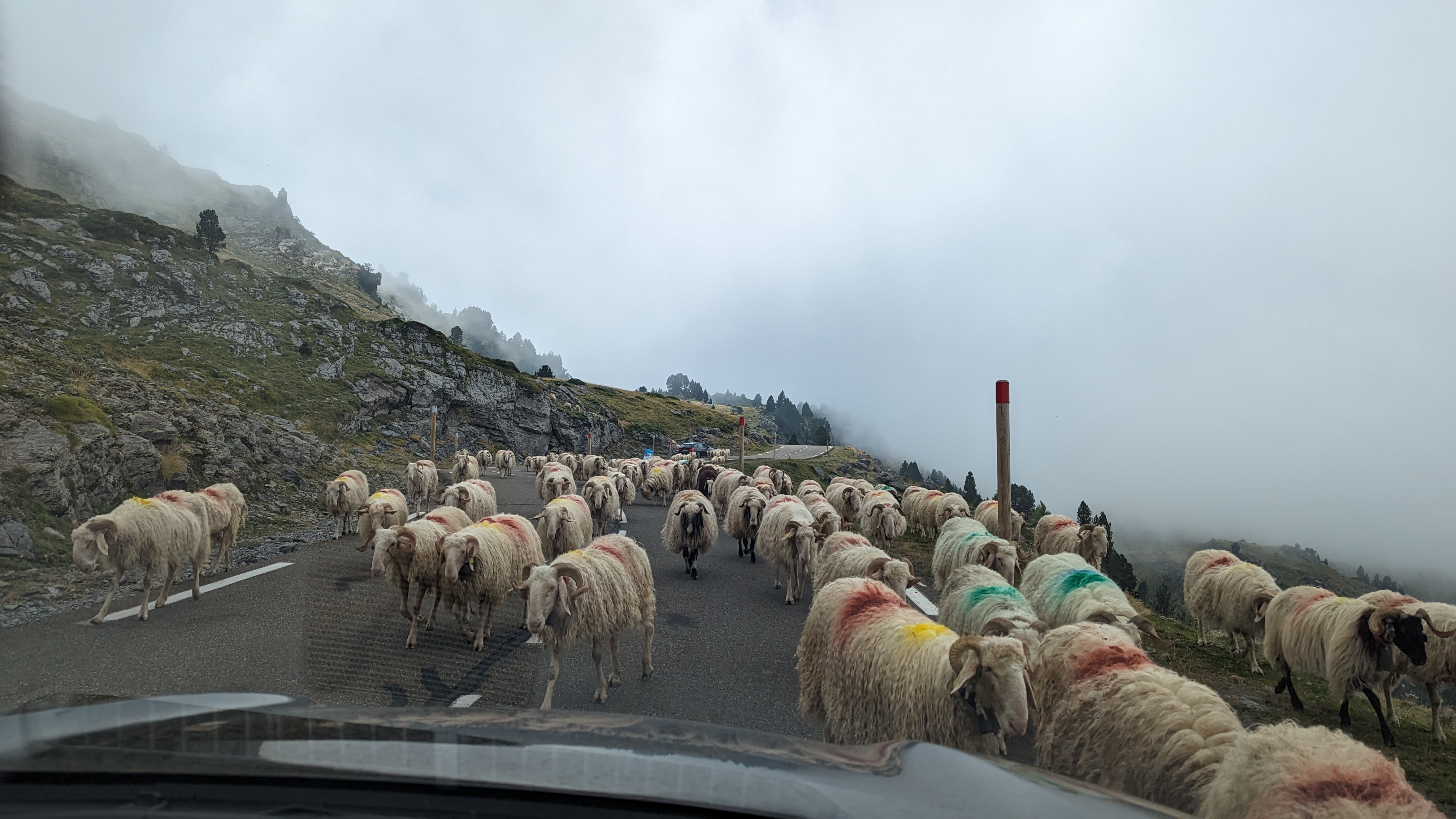 Photo n° 3 de l'avis de Françoise.a fait le 22/08/2023 à 17:09