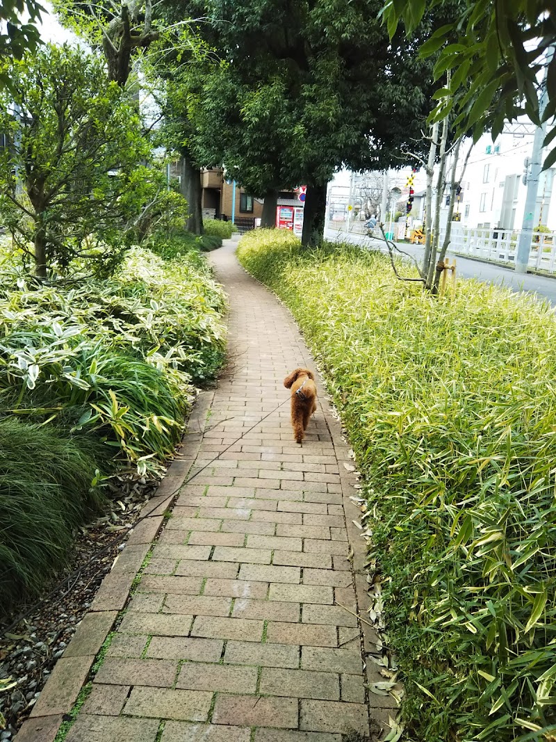 パークシティ浜田山Ａ棟