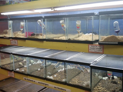 Pet Store «Fin & Feather Pet Center, Inc.», reviews and photos, 5208 Lakeside Ave, Richmond, VA 23228, USA