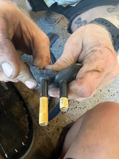 Bicycle Store «Cambridge Bicycle», reviews and photos, 259 Massachusetts Ave, Cambridge, MA 02139, USA