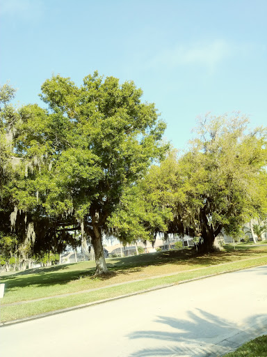 Golf Club «Oaks National Golf Club», reviews and photos, 1500 The Oaks Blvd, Kissimmee, FL 34746, USA