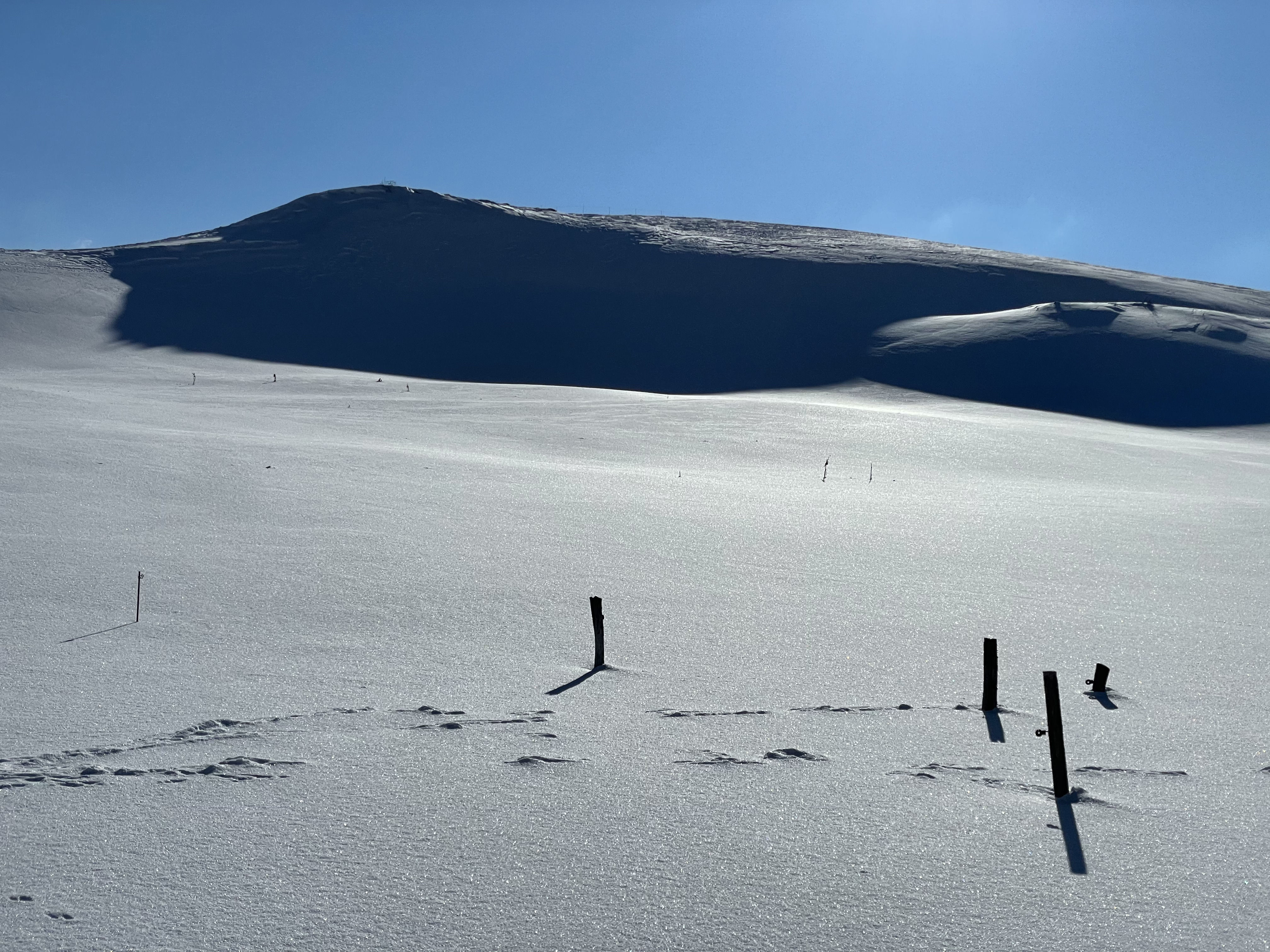 Photo n° 2 de l'avis de Alexandre.o fait le 01/04/2021 à 17:41