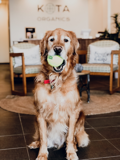 Kota Botanics - Premium CBD & More