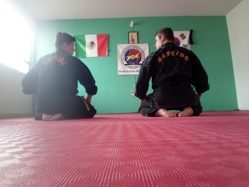 Escuela de taekwondo Victoria de Durango