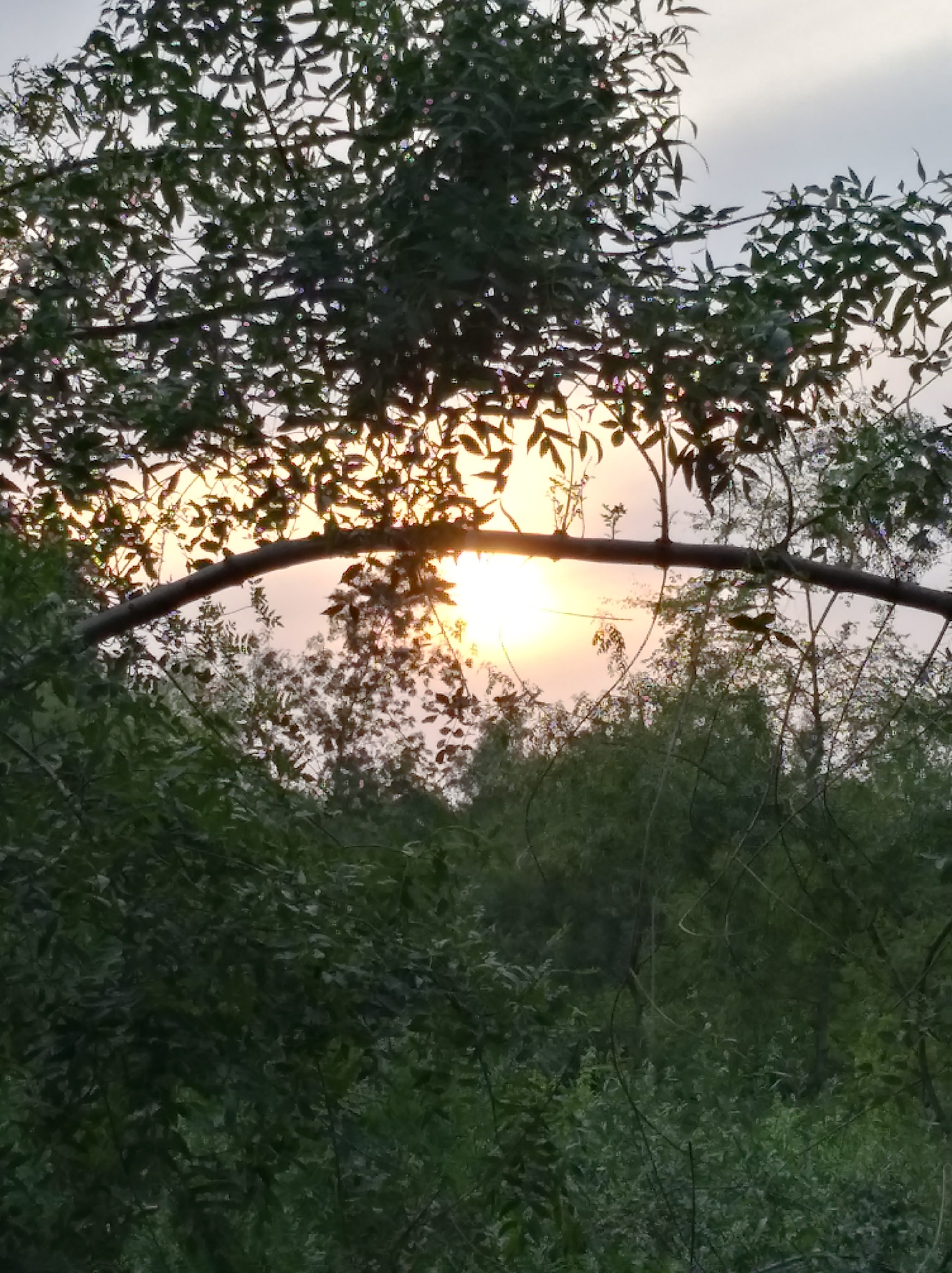 Photo n° 3 de l'avis de Hajer.o fait le 30/08/2017 à 20:21
