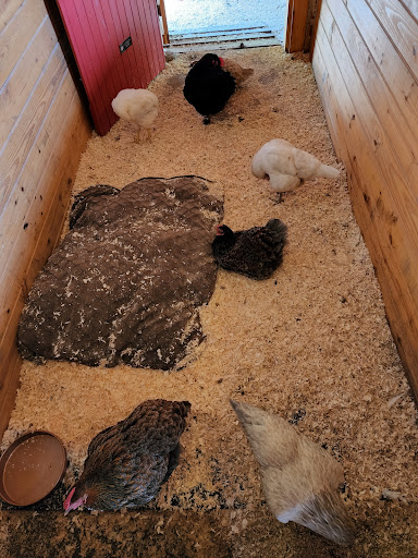 Park «Endicott Park (Town of Danvers)», reviews and photos, 57 Forest St, Danvers, MA 01923, USA