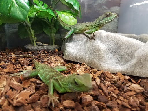 Pet Supply Store «Petco Animal Supplies», reviews and photos, 10 Sylvan St, Peabody, MA 01960, USA