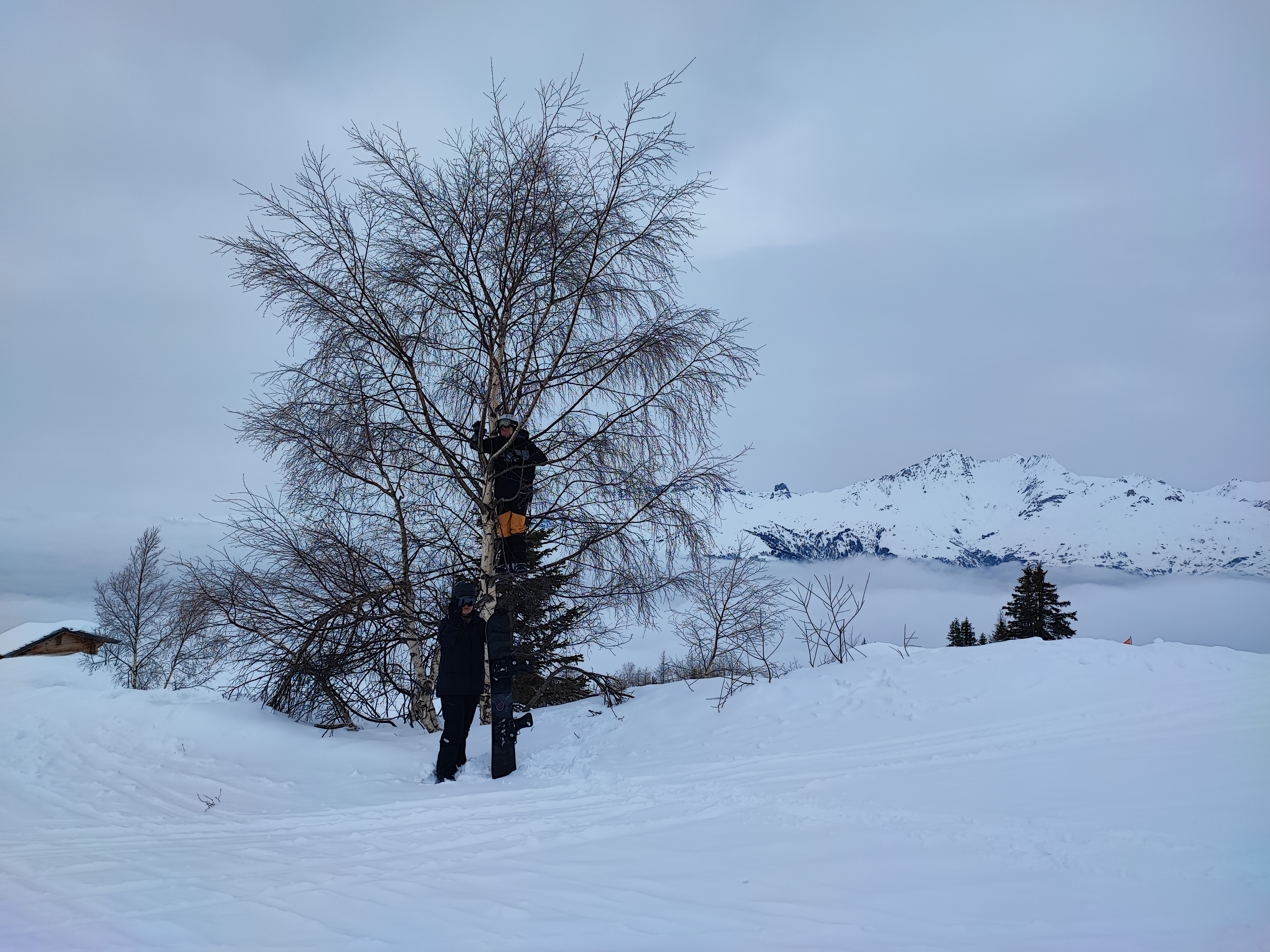 Photo n° 9 de l'avis de Jan.u fait le 10/03/2024 à 10:21