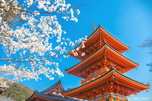Japan Travel Agency: Japan Cruises, Tour Packages, Osaka 2025 Expo Travel