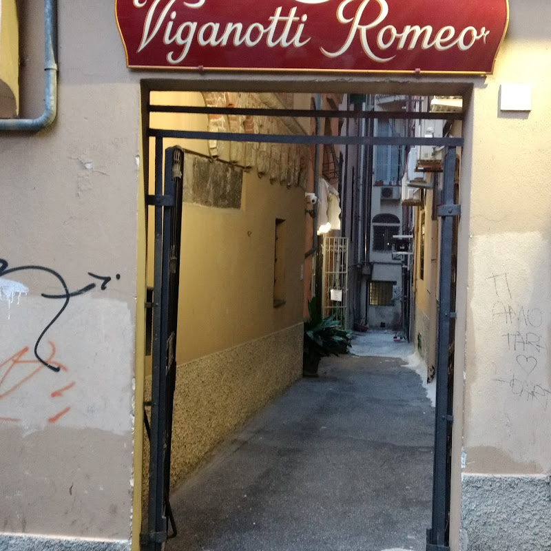 Romeo Viganotti