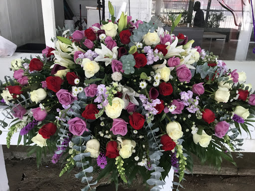 Florist «Rosewood Flower Shop», reviews and photos, 4821 Fannin St, Houston, TX 77004, USA