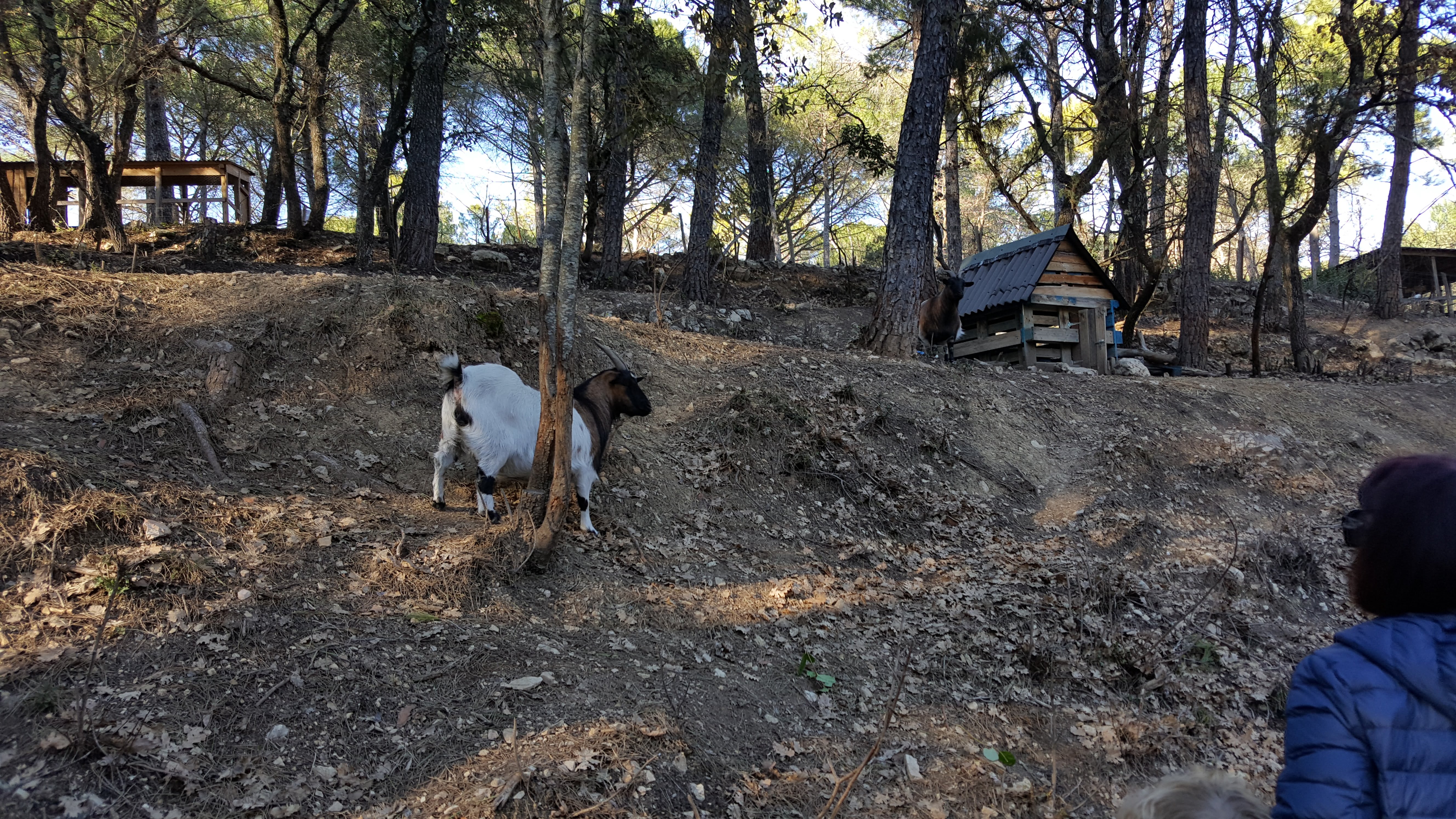 Photo n° 1 de l'avis de Bruno. fait le 12/06/2019 à 06:32