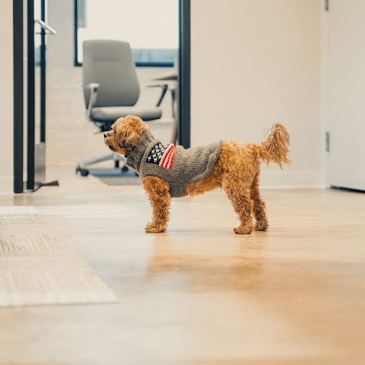 Insurance Agency «Carmen Ritz - State Farm Insurance Agent», reviews and photos