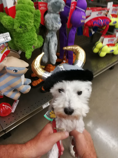 Pet Supply Store «Petco Animal Supplies», reviews and photos, 11633 Ulysses Ln NE #200, Blaine, MN 55434, USA