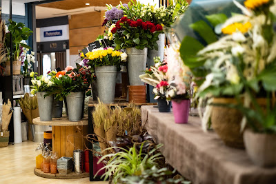 Natur'elles Fleurs à Seynod