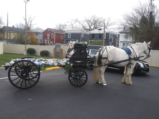 Carriage ride service Norfolk