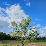 Photo n°1 de l'avis de Jack.r fait le 27/04/2024 à 13:22 sur le  Azienda Agricola e Agriturismo IL PARADISO DI BERIGNONE ss à Mazzolla
