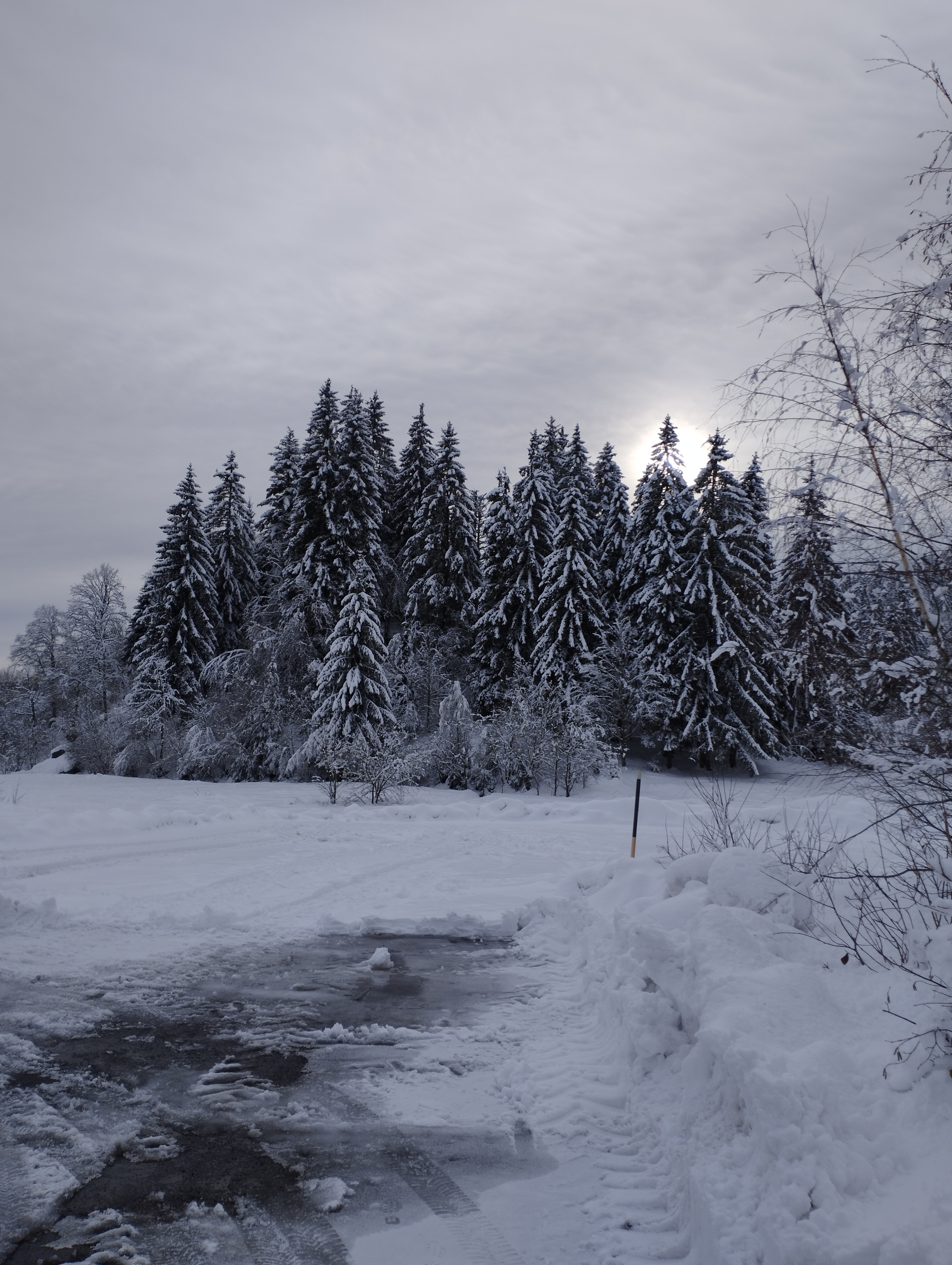 Photo n° 21 de l'avis de Géraldine.a fait le 08/12/2023 à 17:24