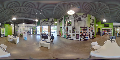 Animal Protection Organization «Greenville Humane Society», reviews and photos