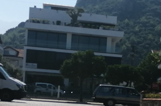 Özel Dct Apızve Diş Sağlığı Kliniği