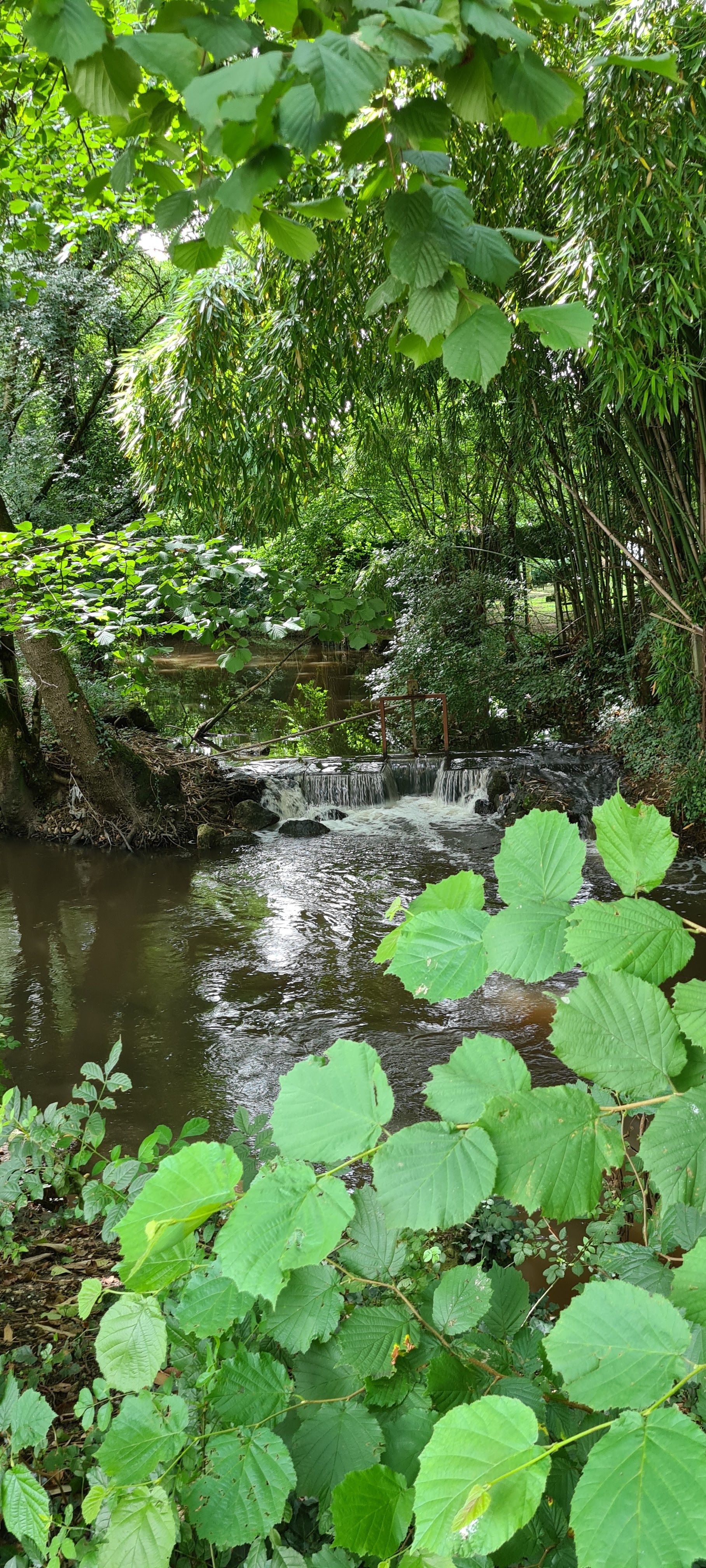 Photo n° 3 de l'avis de Carine.e fait le 11/07/2021 à 10:50
