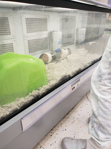 Pet Supply Store «Petco Animal Supplies», reviews and photos, 12801 Chenal Pkwy, Little Rock, AR 72211, USA