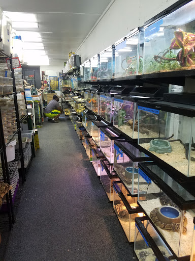 Herp Hobby Shop Reptile Breeding Center