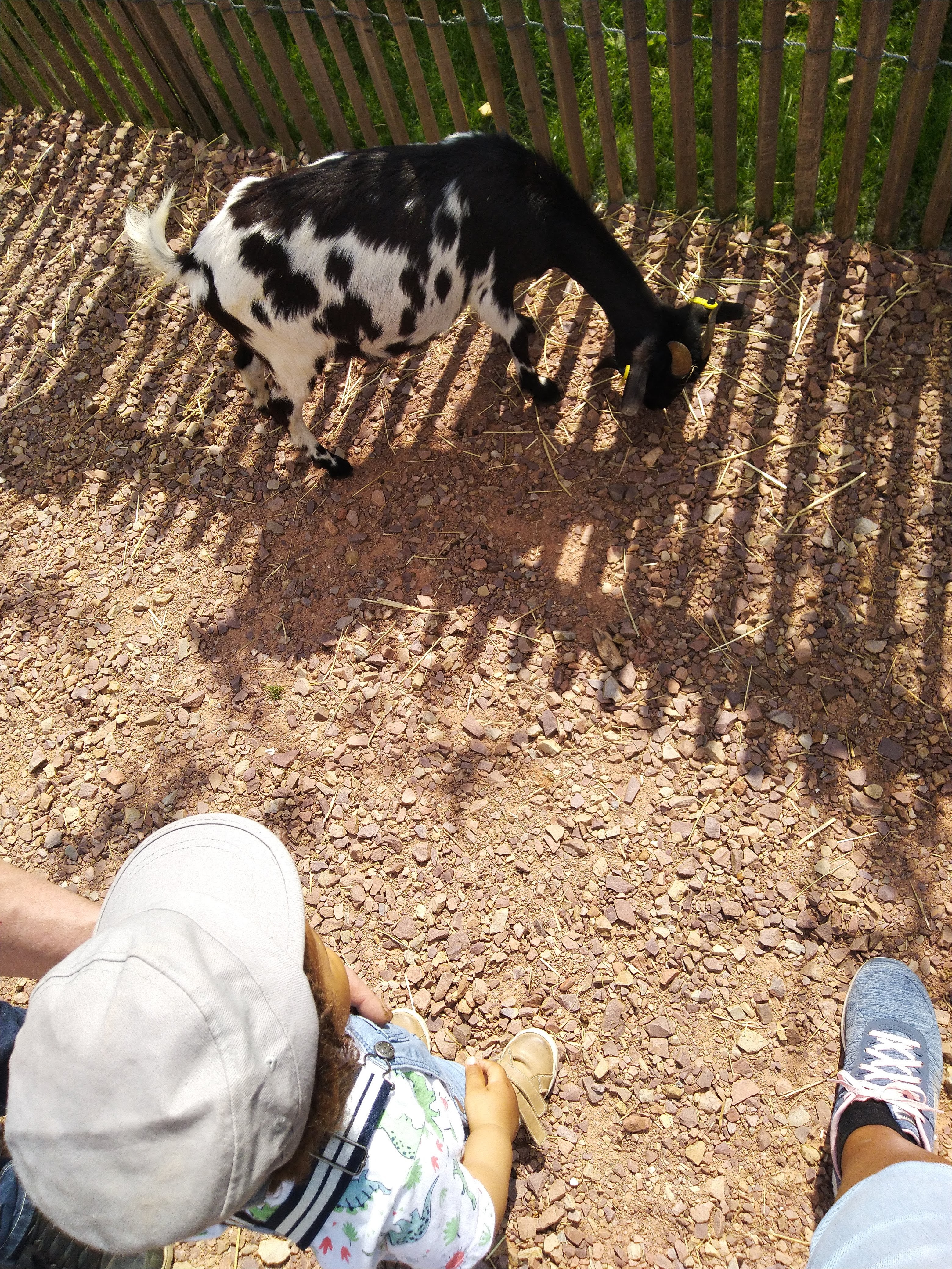 Photo n° 2 de l'avis de Tia. fait le 04/06/2019 à 16:30