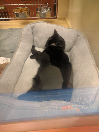 Pet Supply Store «PetSmart», reviews and photos, 300 NJ-18, East Brunswick, NJ 08816, USA