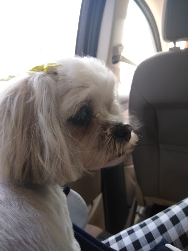 Pet Store «Woof Gang Bakery and Grooming Wichita», reviews and photos, 9747 E 21st St N #131, Wichita, KS 67206, USA