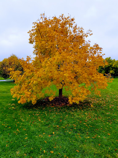 Park «James a Bible Park», reviews and photos, 6802 E Yale Ave, Denver, CO 80224, USA