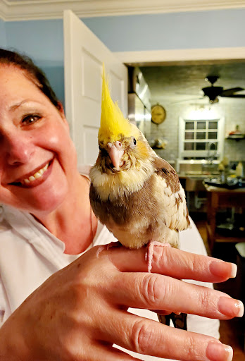 Pet Store «Pet Depot», reviews and photos, 22069 US-72 i, Athens, AL 35613, USA