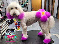 Lucky Dog Boutique & Spa - Photo 3 - Car repair in Pace, FL, Pensacola