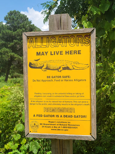 Park «Cypress Wetlands», reviews and photos, 1700 Paris Ave, Port Royal, SC 29935, USA