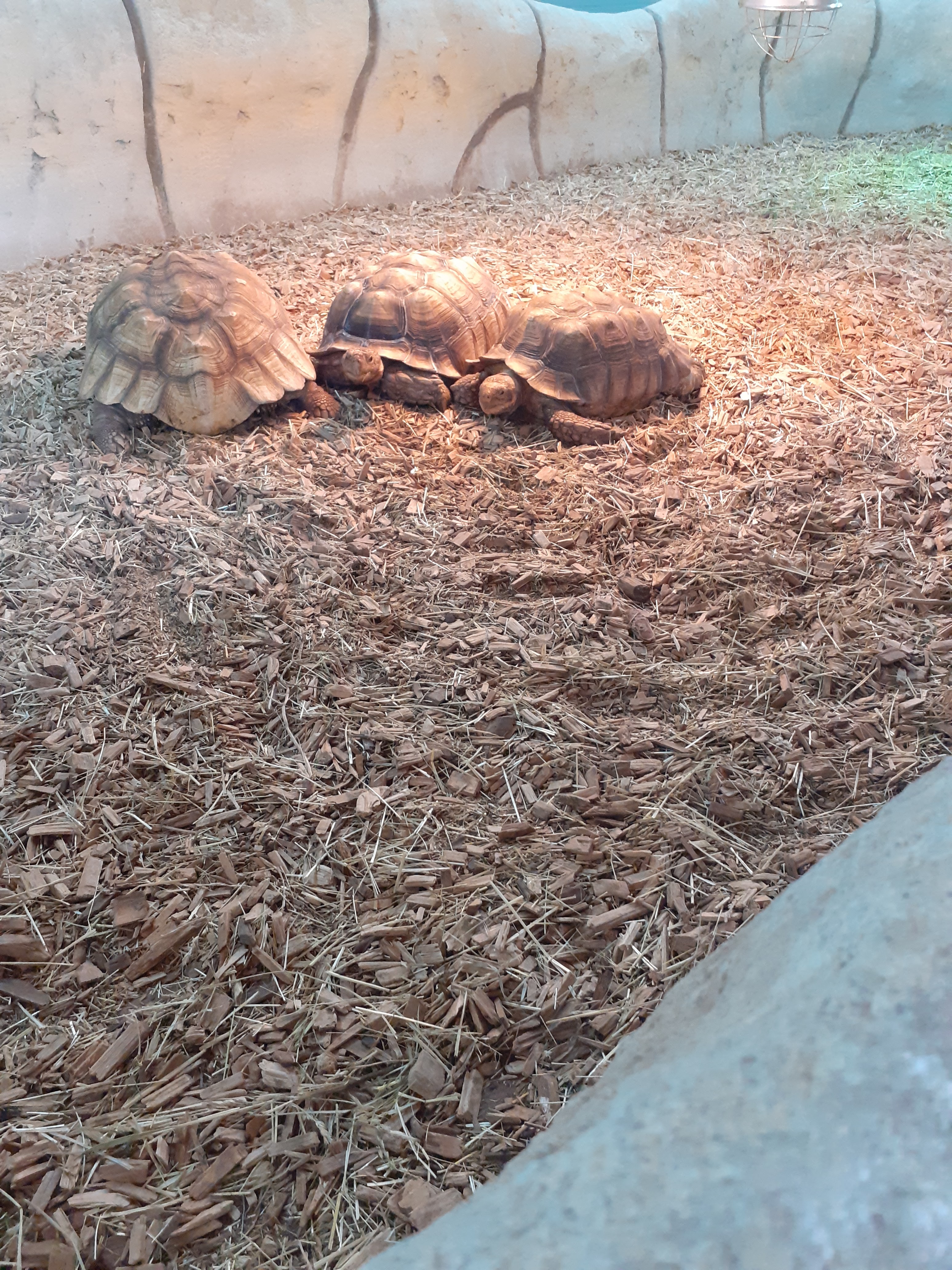 Photo n° 3 de l'avis de Aude.u fait le 30/07/2022 à 12:17