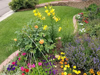 Cinderella Enterprises Inc. - Photo 7 - Car repair in , Colorado Springs