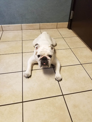 2400 Waukegan Rd, Glenview, IL 60025, USA