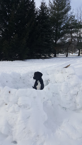 Golf Club «Glenway Golf Course», reviews and photos, 3747 Speedway Rd, Madison, WI 53705, USA