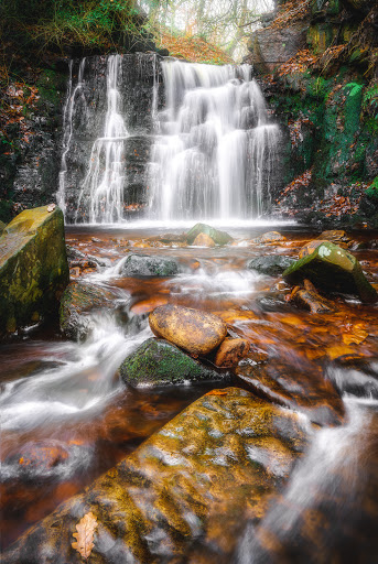 Tigers Clough