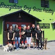 Brazilian Dog Guru Facility