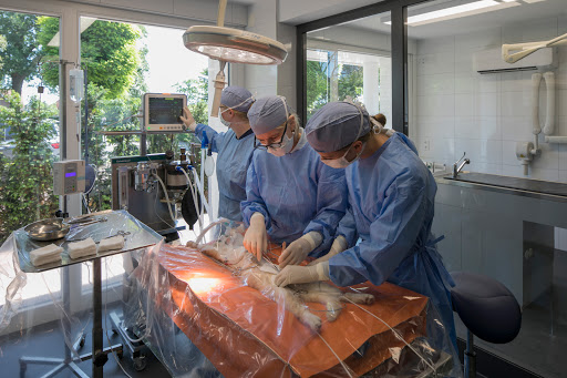 Tierarztpraxis Dr. Blömer unter Neuenkirchen-Vörden, Niedersachsen
