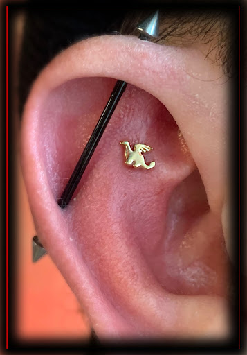 Explore tattoo arm placement ideas, creative tattoo ideas in Omaha, available at Eternal Tattoo & Body Piercing - Omaha