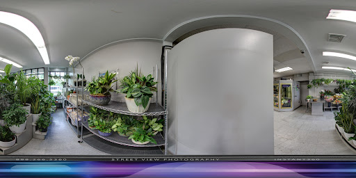 Florist «Central Square Florist», reviews and photos, 653 Massachusetts Ave, Cambridge, MA 02139, USA